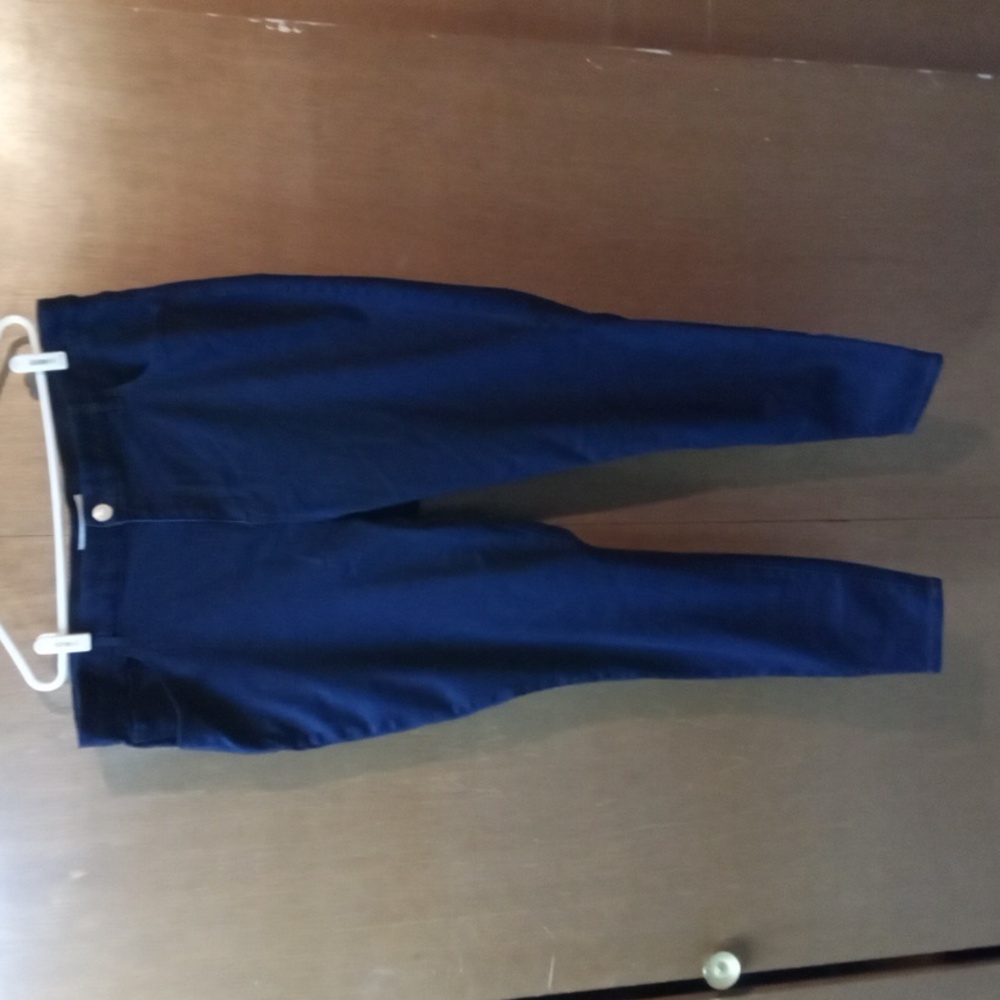 Eloquii Indigo Denim Pants